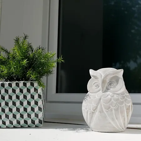 Aux Lagerstroemias * Bergerac